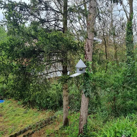 Дом отдыха Vikendica Sara,devojacki Bunar Banatski Karlovac