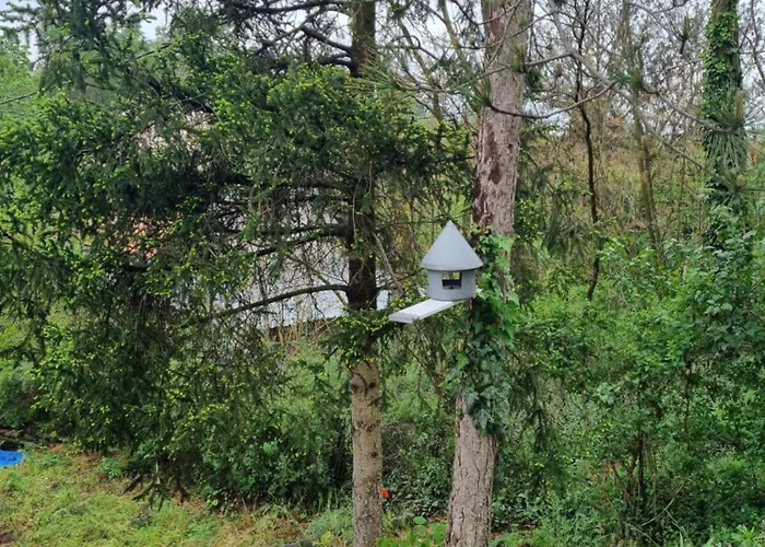 Σπίτι διακοπών Vikendica Sara,devojacki Bunar Banatski Karlovac