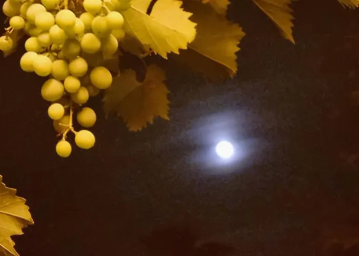 Vikendica Sara,devojacki Bunar