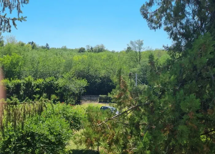 Vikendica Sara,devojacki Bunar Σπίτι διακοπών Banatski Karlovac